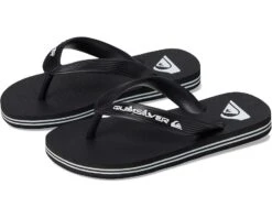 Quiksilver Kids Molokai Core (Toddler/Little Kid/Big Kid)