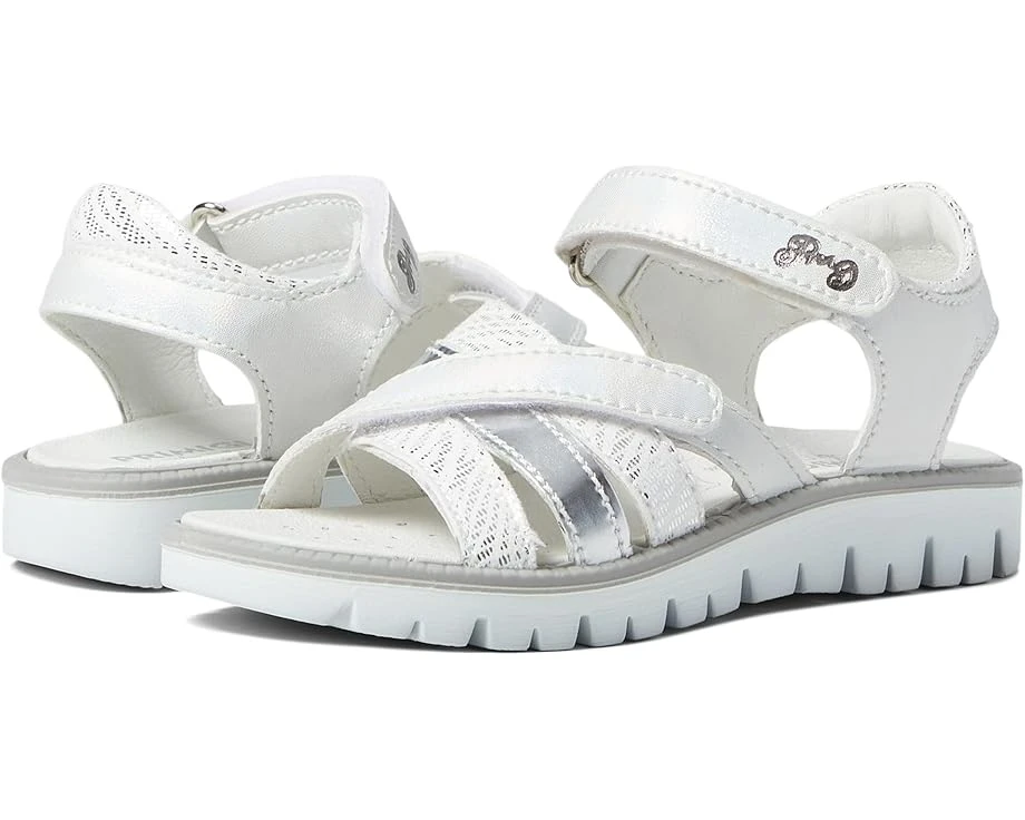 Primigi Kids 18827 (Little Kid/Big Kid) 2 Primigi Kids 18827 (Little Kid/Big Kid)