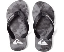 Quiksilver Kids Molokai Art (Toddler/Little Kid/Big Kid)
