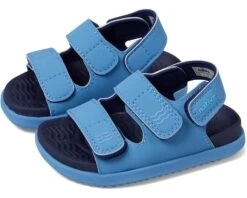 Native Shoes Kids Frankie Sugarlite (Toddler)