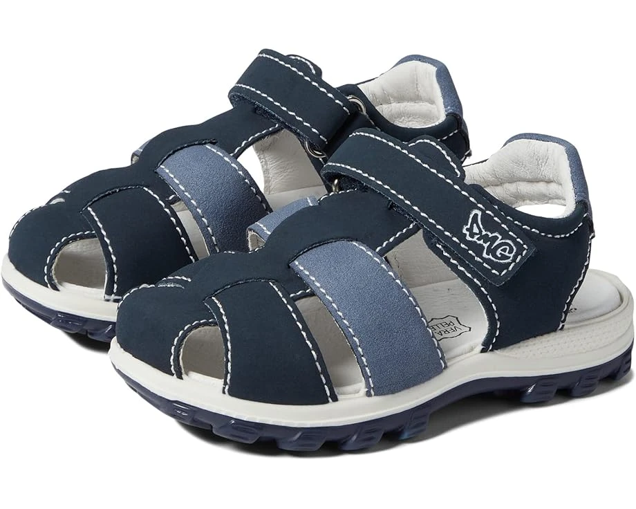 Primigi Kids 18890 (Toddler/Little Kid/Big Kid) 3 Primigi Kids 18890 (Toddler/Little Kid/Big Kid)